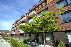 rockwool-redart-brick-2 rockwool-redart-brick-2